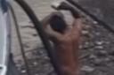 When you've just got to get clean ... this man stripped off to have a scrub in the Thames