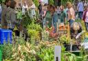 The plant fair returns in May