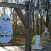 A notice outside Sunrise Eggs near Loughborough in Leicestershire warning that the site is closed to prevent the spread of avian influenza (PA)