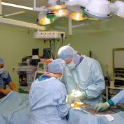 Surgeons performing spinal surgery