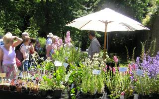 The Plant Hunters Fair in the walled garden of Norton Priory