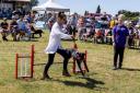 One of the dog demonstrations at the Darnhall Show