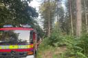 Cheshire Fire and Rescue Service is in attendance at Delamere Forest