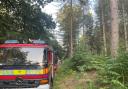 Cheshire Fire and Rescue Service is in attendance at Delamere Forest