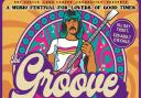 The Groove festival is coming to Widnes