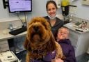 Cooper paid a visit to the dentist with his owner Gill last week
