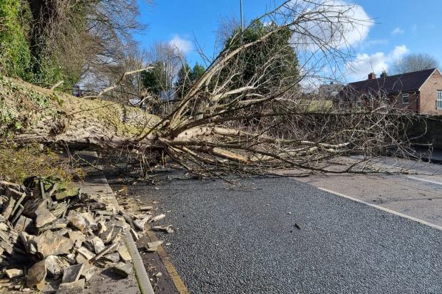 Photo via T&A/Newsquest shows Storm Malik damage on Whitehall Road.