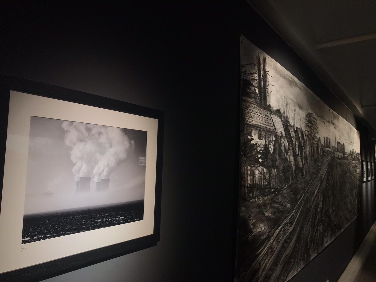 Photo and art goes side by side in the exhibition