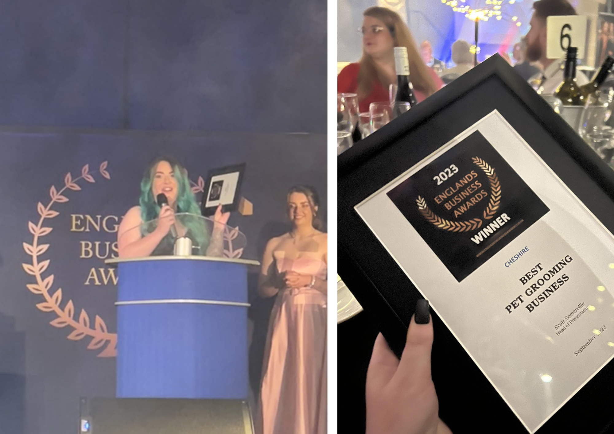 24-year-old's dog grooming business in Runcorn named best in Cheshire - Vimarsana News