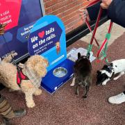 New dog watering stations are now available across 138 staffed stations to keep furry friends hydrated