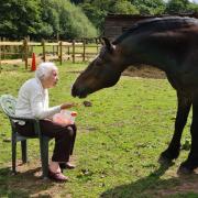 Joyce Austin reunited with her beloved horse 'Star'