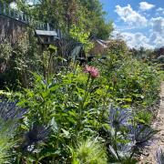 Three secret gardens open to the public this summer