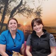 Leanne Doherty and Emma Coogan, cat advocates at Northwest Veterinary Specialists