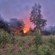 Firefighters say nature reserve is ‘being spoilt’ after tackling large fern fire