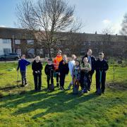 Netherton Moss Primary School students planting their trees from Veolia Orchard.