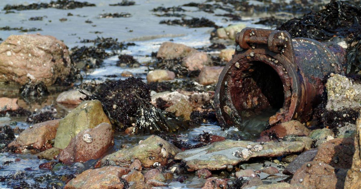 Welsh Water to pay out £44.7m over sewage spills after ‘serious ...