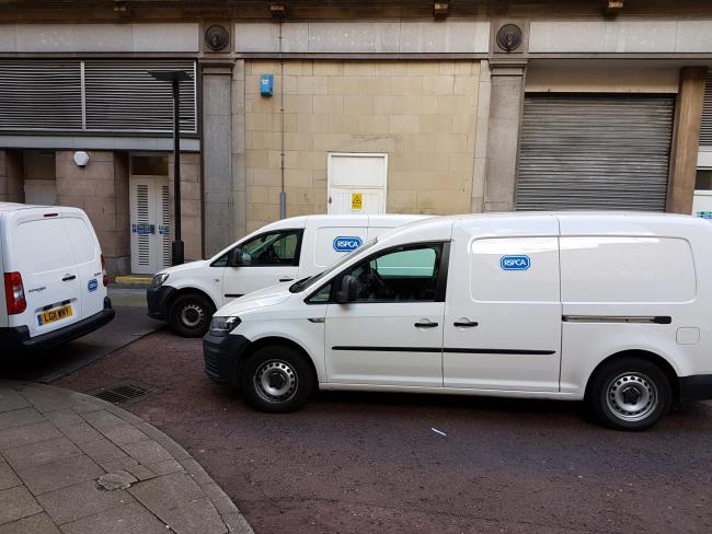 RSPCA: Vans were spotted at the back of the premises a few days later